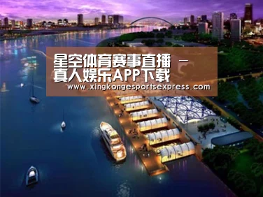 案例展示八