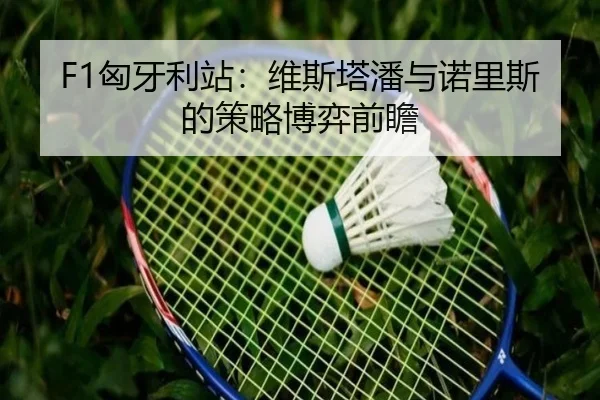 xiong-ya-li-zhan-wei-si-ta-pan-yu-nuo-li-si-de-ce-lve-bo-yi-qian-zhan-2-137.jpg