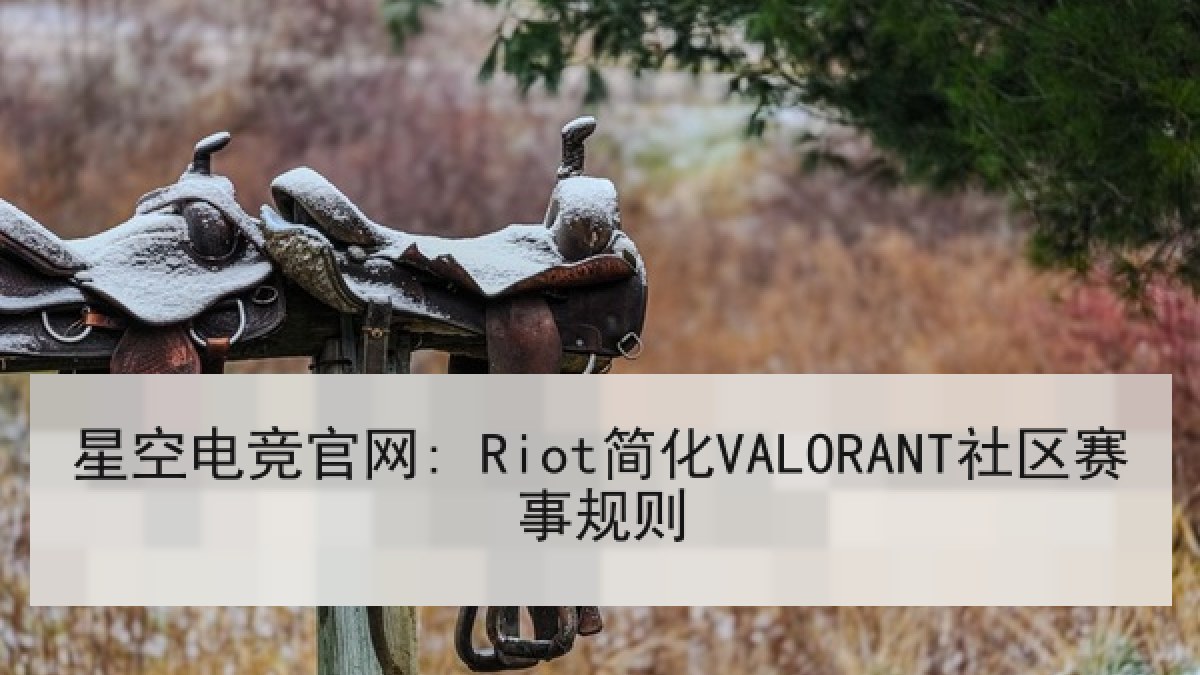 星空电竞官网: Riot简化VALORANT社区赛事规则