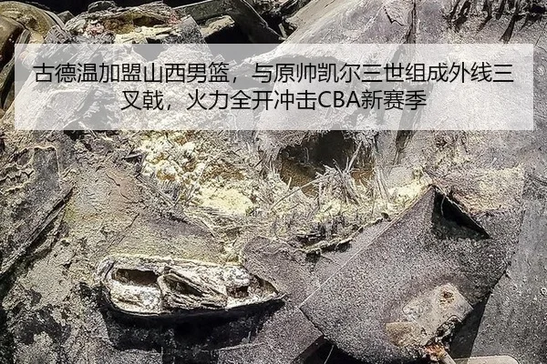 古德温加盟山西男篮，与原帅凯尔三世组成外线三叉戟，火力全开冲击CBA新赛季
