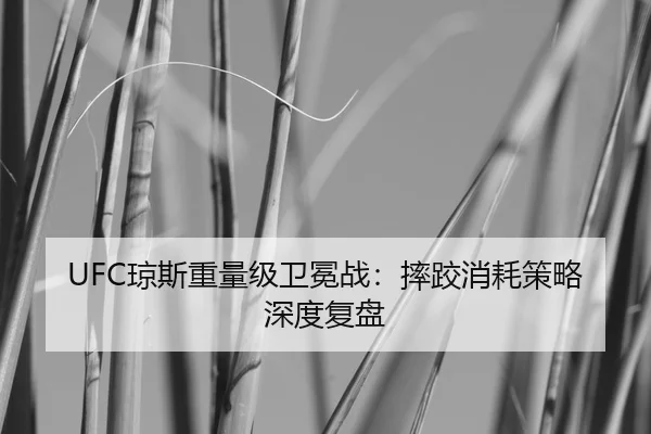UFC琼斯重量级卫冕战：摔跤消耗策略深度复盘