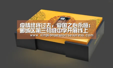 疫情终将过去,爱国之心永恒:郾城区第三初级中学开展线上爱国教育主题班会-星空APP(图3) 星空赛事